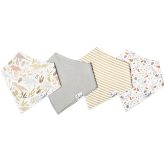 Rex Bandana Bib Set