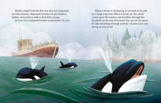 My Lgb About Whales