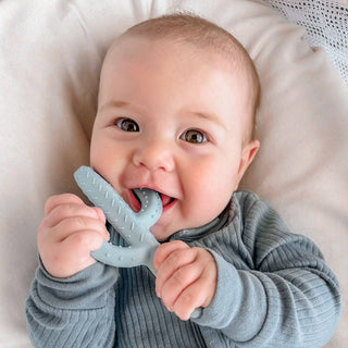 Cactus Teether Toy: Rose - Lindsey Paige