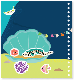 Ocean Magic Multiplay - Lindsey Paige