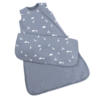 SS24 SLEEP BAG: Dino / 9-18 months / 1.0 - Lindsey Paige