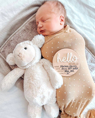 Hello World Birth Stat Announcement Wood Disc - Layered 3D: Rose / 4 inch