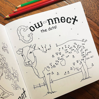 The World Famous Texas Alphabet Coloring Book - Lindsey Paige
