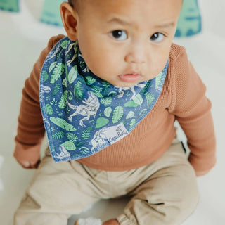Jurassic Park Bandana Bib Set - Lindsey Paige