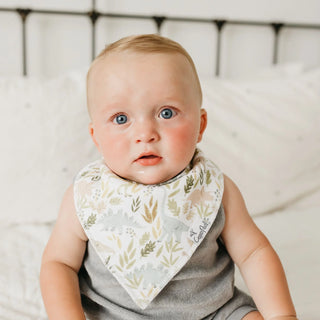 Rex Bandana Bib Set