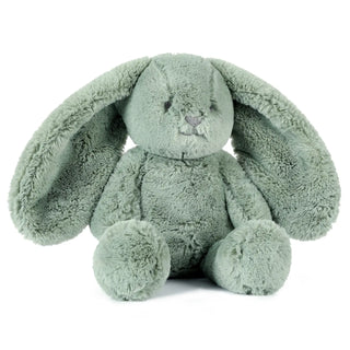 Beau the Bunny