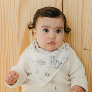 Tatooine™ Bandana Bib Set