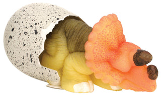 Ginormous Hatchin' Grow Dino Egg, Just Add Water - Lindsey Paige