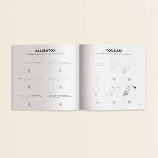 All The Animals: A How to Draw Art Book for Kids Mini - Lindsey Paige