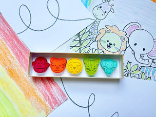 Jungle Animal Crayons Gift Box - Lindsey Paige