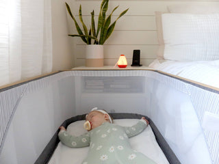 Baby Shusher Firefly - Lindsey Paige