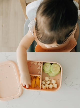 Bento Box: Cloud - Lindsey Paige