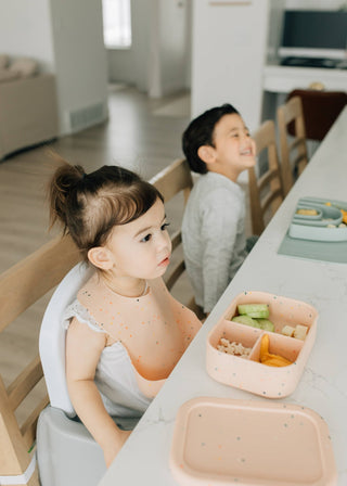 Bento Box: Pink Lemonade - Lindsey Paige