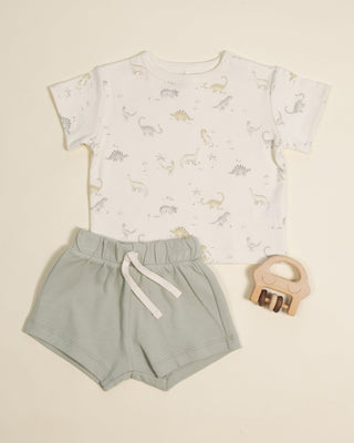 Boxy Tee Dinosaur - Lindsey Paige