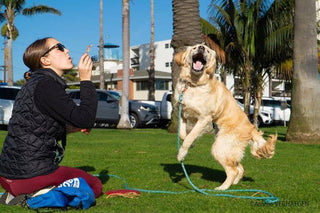 BubbleLick™ Pets Peanut Butter Swirl bubbles - Lindsey Paige