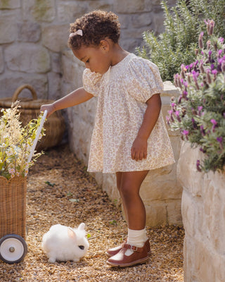 Carina Dress Dahlia - Lindsey Paige