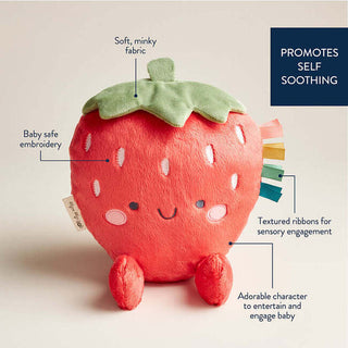 Itzy Ritzy Bonnie the Strawberry