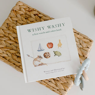 Wishy Washy: A Board Book of First Words and Colors - Lindsey Paige