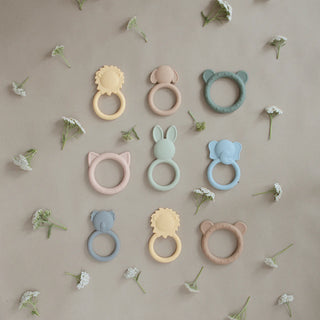 Teether - Lindsey Paige