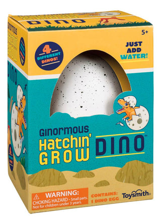 Ginormous Hatchin' Grow Dino Egg, Just Add Water - Lindsey Paige