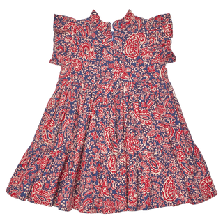 Girls Jennifer Dress - Paisley Vines - Lindsey Paige