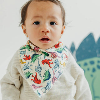 Jurassic Park Bandana Bib Set - Lindsey Paige