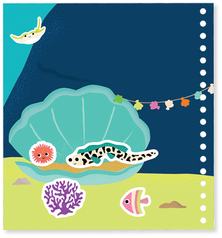 Ocean Magic Multiplay - Lindsey Paige