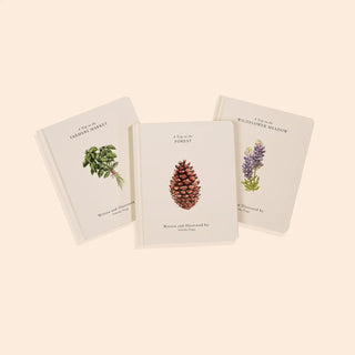 Our Little Adventures Box Set For Kids - Lindsey Paige