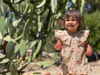 Piper Ruffle Linen Dress | Western Desert Print - Lindsey Paige