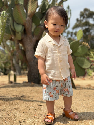 Reuben Boy’s Western Cow Herd Shirt & Shorts 2 - Piece Set - Lindsey Paige