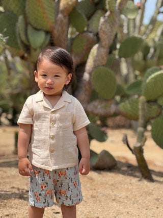 Reuben Boy’s Western Cow Herd Shirt & Shorts 2 - Piece Set - Lindsey Paige