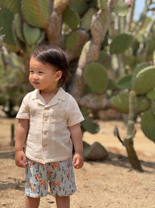 Reuben Boy’s Western Cow Herd Shirt & Shorts 2 - Piece Set - Lindsey Paige