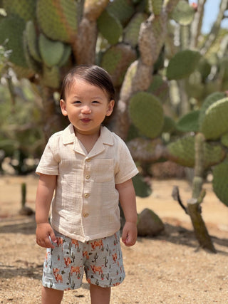 Reuben Boy’s Western Cow Herd Shirt & Shorts 2 - Piece Set - Lindsey Paige