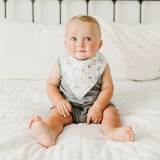 Rex Bandana Bib Set - Lindsey Paige