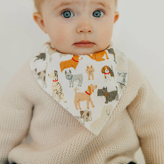 Rufus Bandana Bib Set - Lindsey Paige