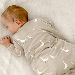 SLEEP BAG 1.0: Dream / 3 - 9 months / 1.0 - Lindsey Paige