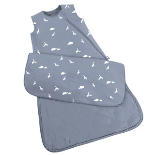 SLEEP BAG: Dino / 9-18 months / 1.0 tog - Lindsey Paige