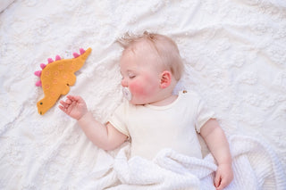 Stego Organic Fabric with Crinkle - Lindsey Paige