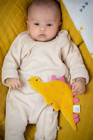 Stego Organic Fabric with Crinkle - Lindsey Paige