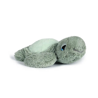 lil Tyler the Turtle - Lindsey Paige