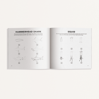 Under the Sea: A How to Draw Art Book for Kids Mini - Lindsey Paige