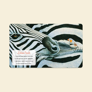 You Stole My Name: A Board Book for Baby - Lindsey Paige