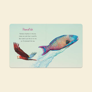 You Stole My Name: A Board Book for Baby - Lindsey Paige