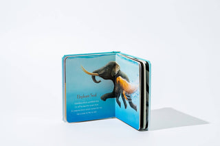 You Stole My Name: A Board Book for Baby - Lindsey Paige